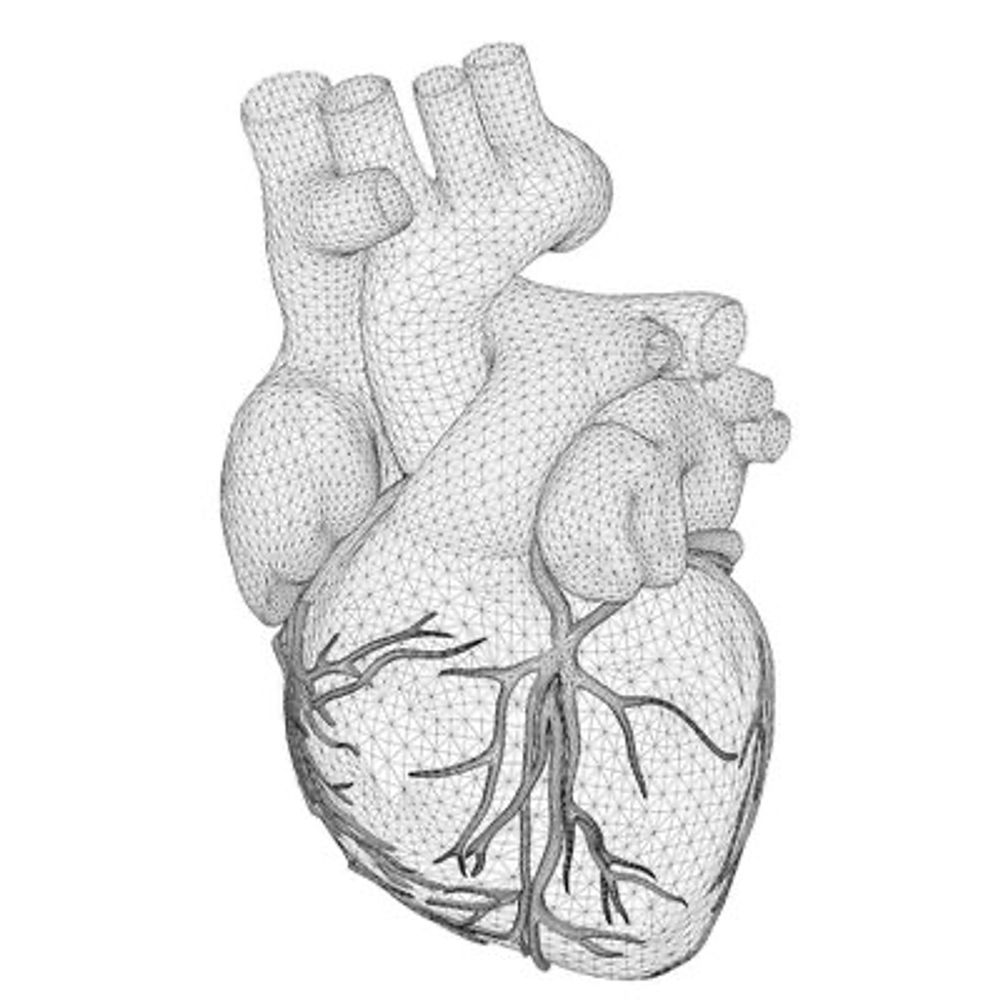 Cardiovascular Genomics & Precision Medicine