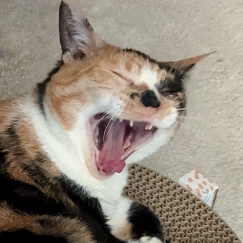 Roro