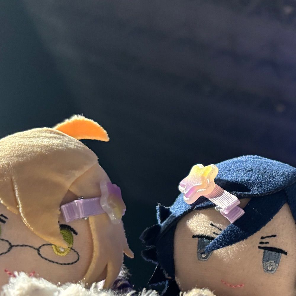 にらがゆ