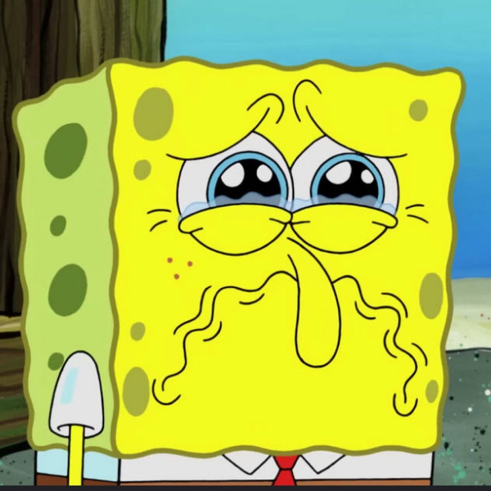sadspongebob/paj
