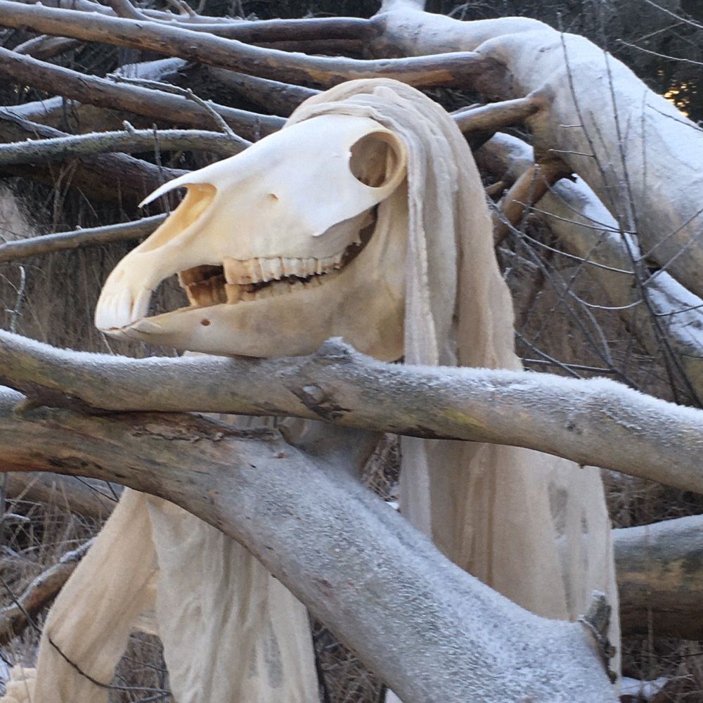 The Grey Mare