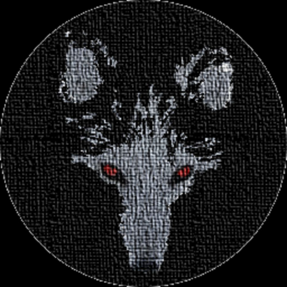 Nefarious Fox