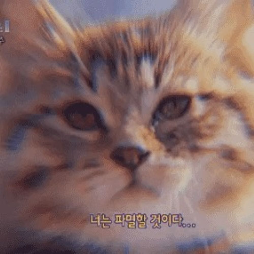 진