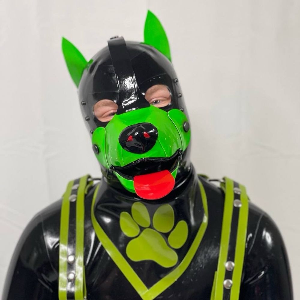 Pup Sollux 🐾