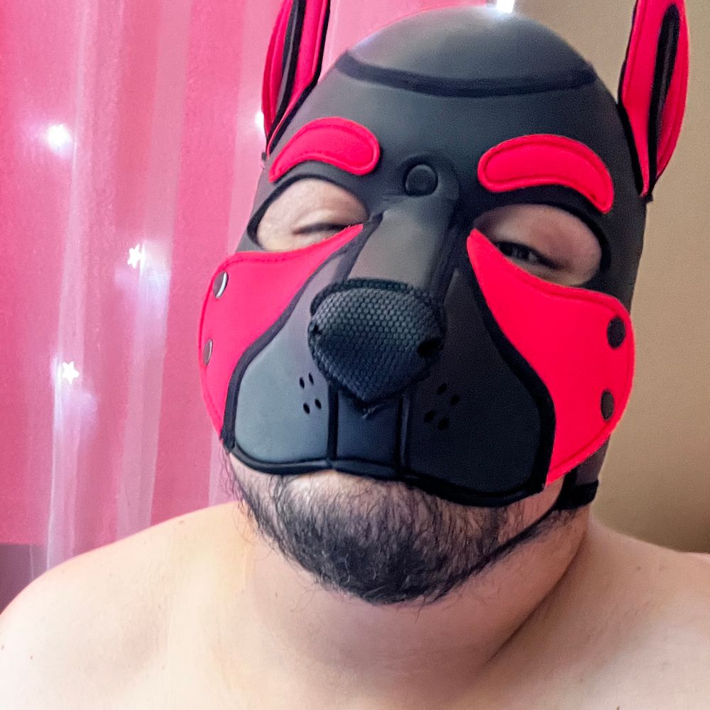 pup josie