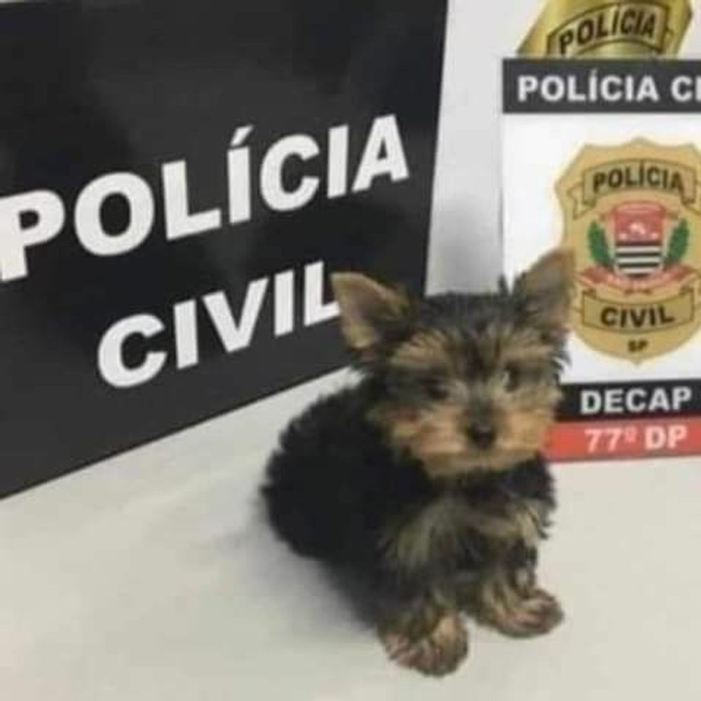 Digas