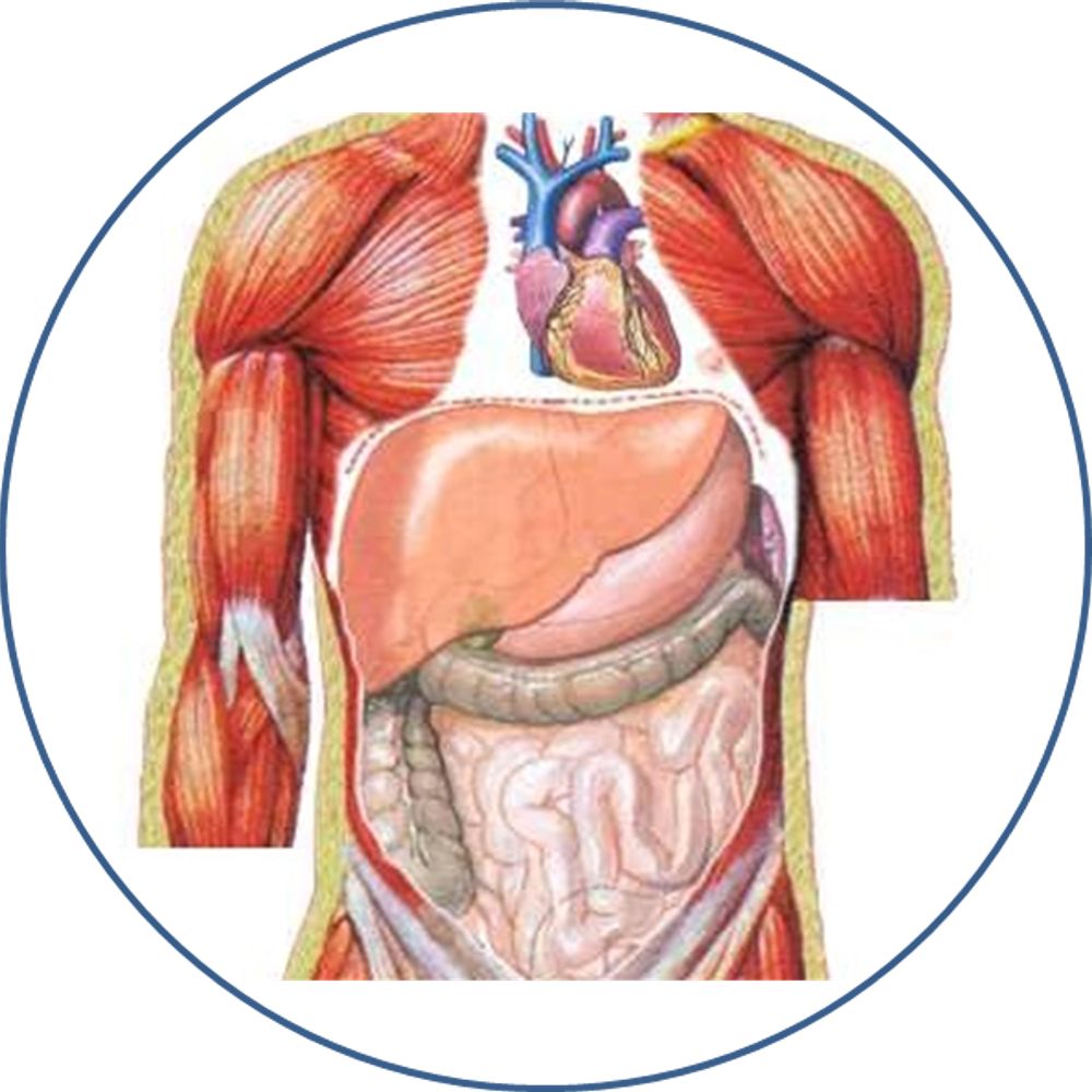 Cardiometabolic Medicine at University of Glasgow