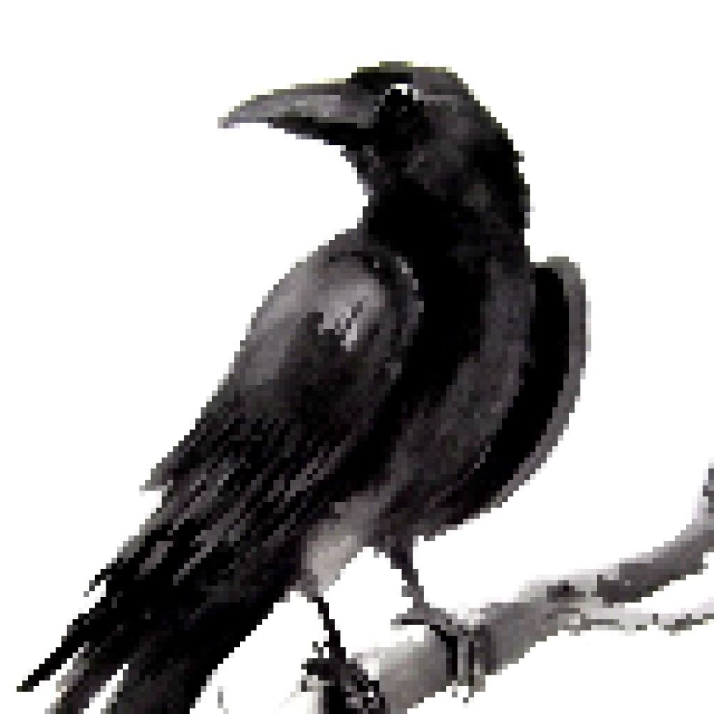 XP_Raven_