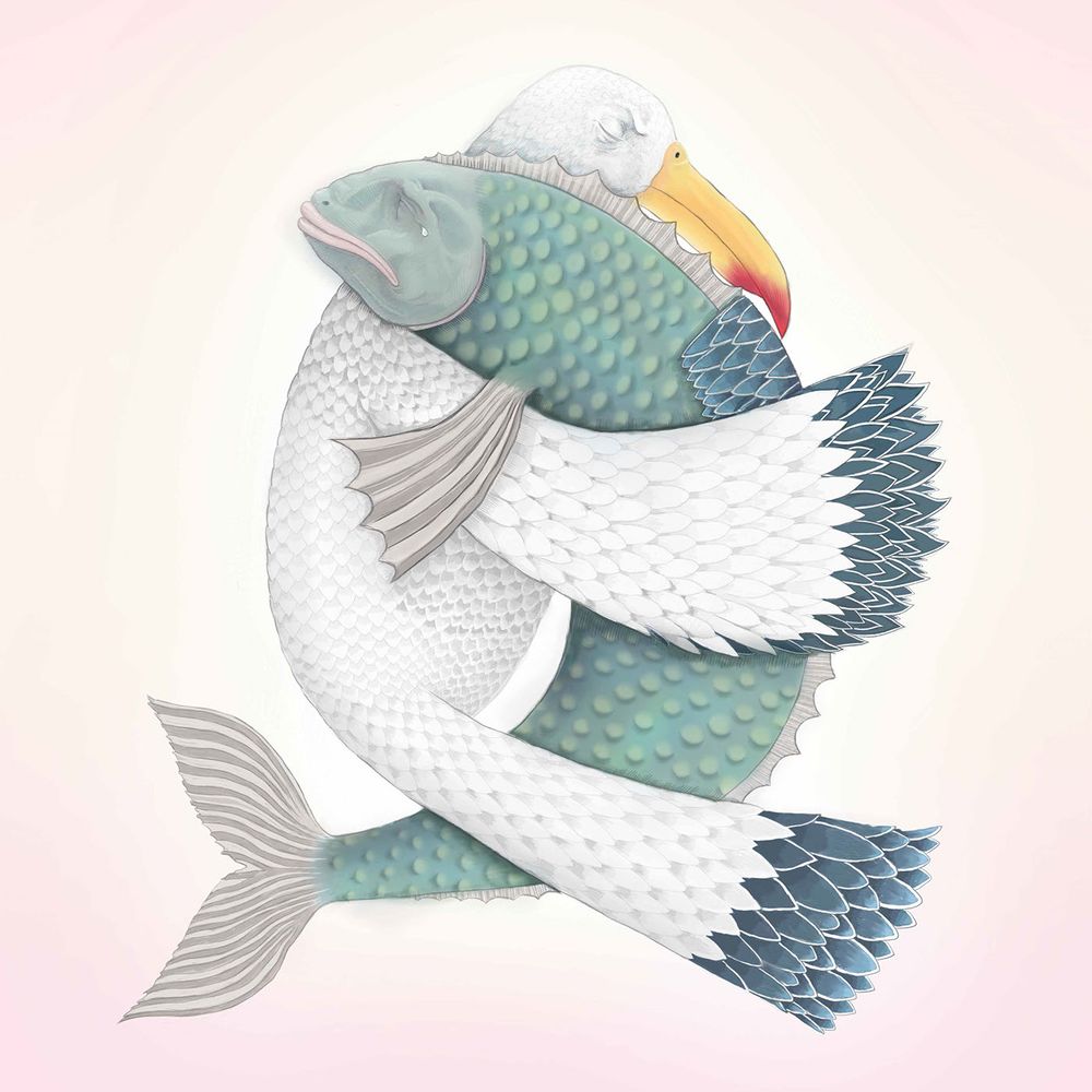 birdfish