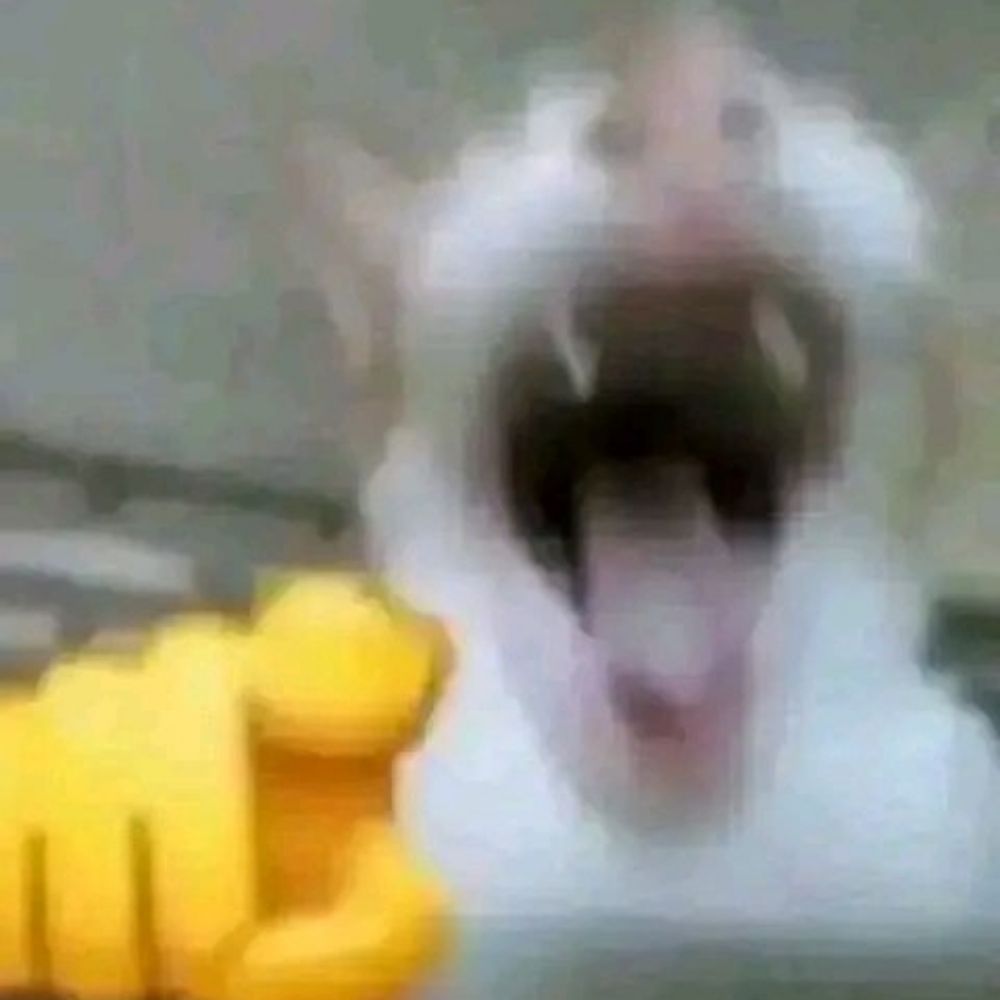 Ridd