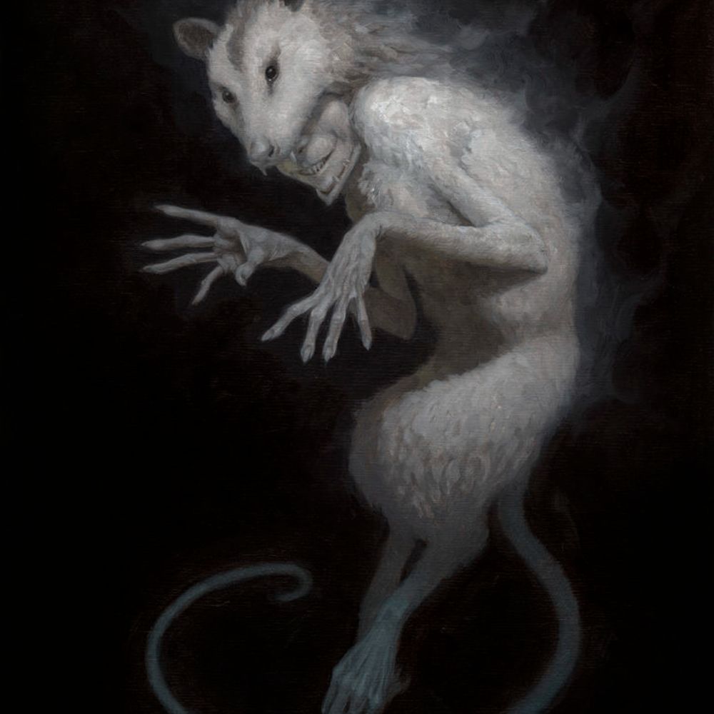 Coyote Crow (she/they/fae)'s Avatar