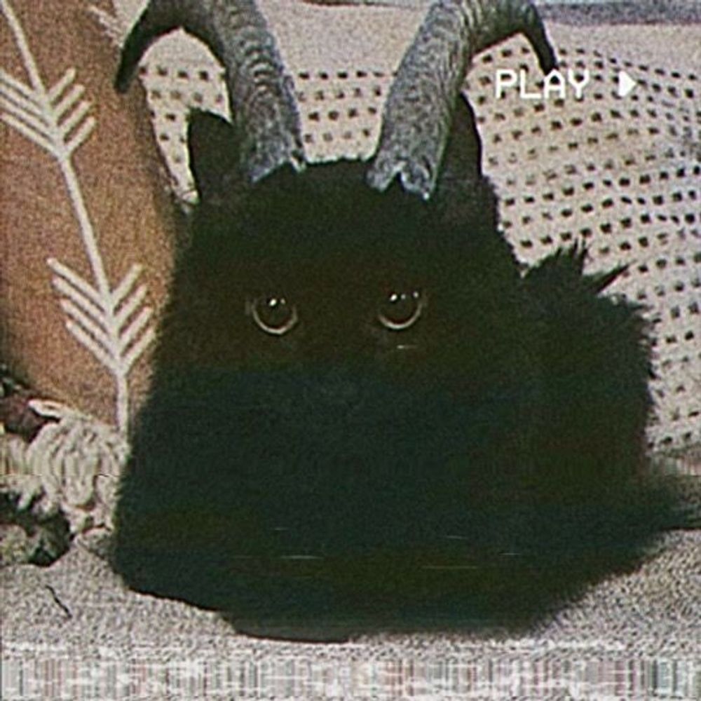 macrø 🩸🦇