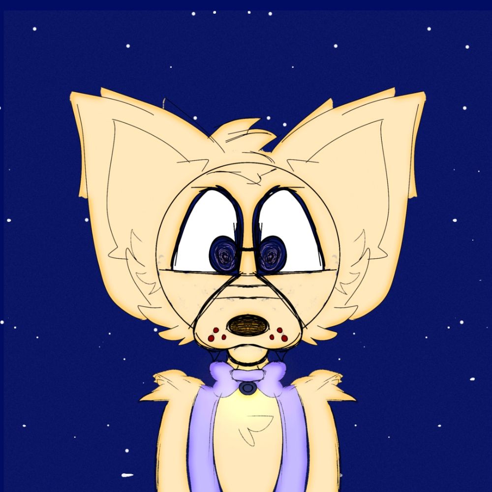 PonkoWolfy