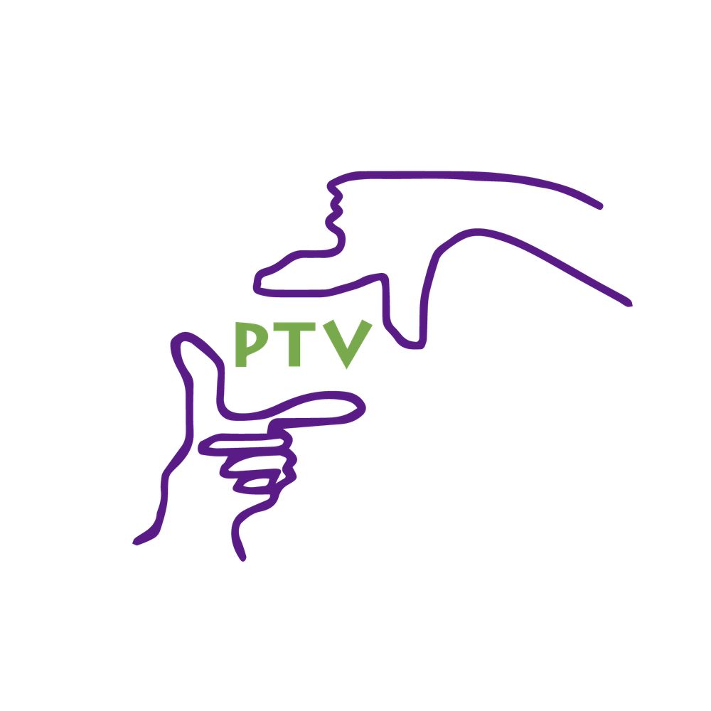 Picture This Video LLC