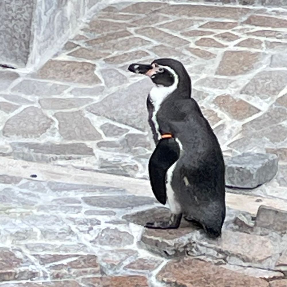 philocafe.bsky.social