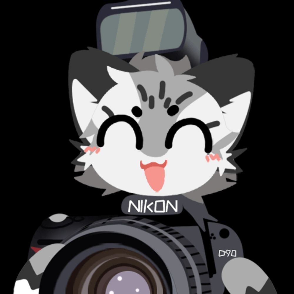 一只叫芒果的CAT
