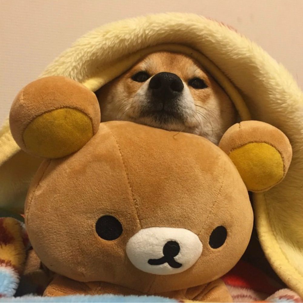 Ev