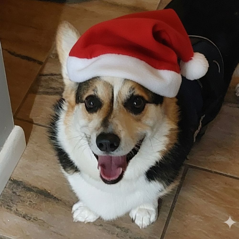 pkillian5484.bsky.social