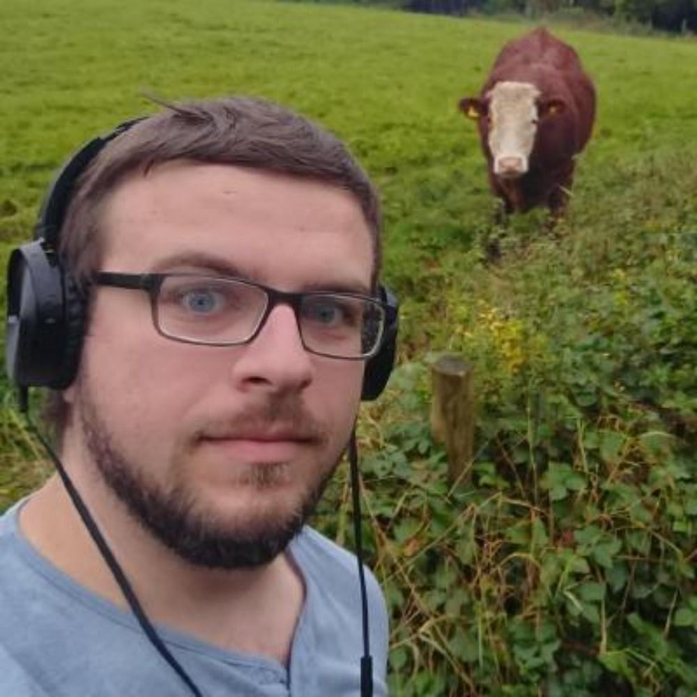 MrDKOz
