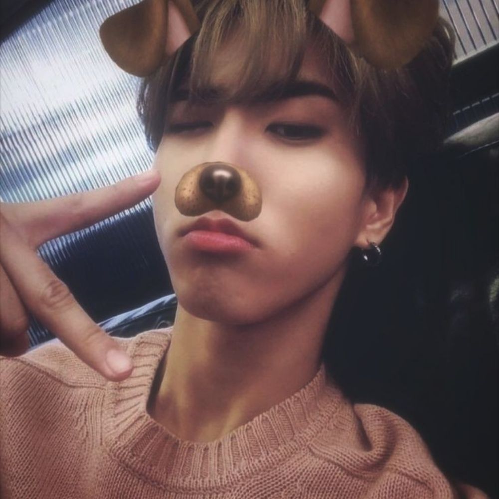 🐿️⃝   Gabiroba