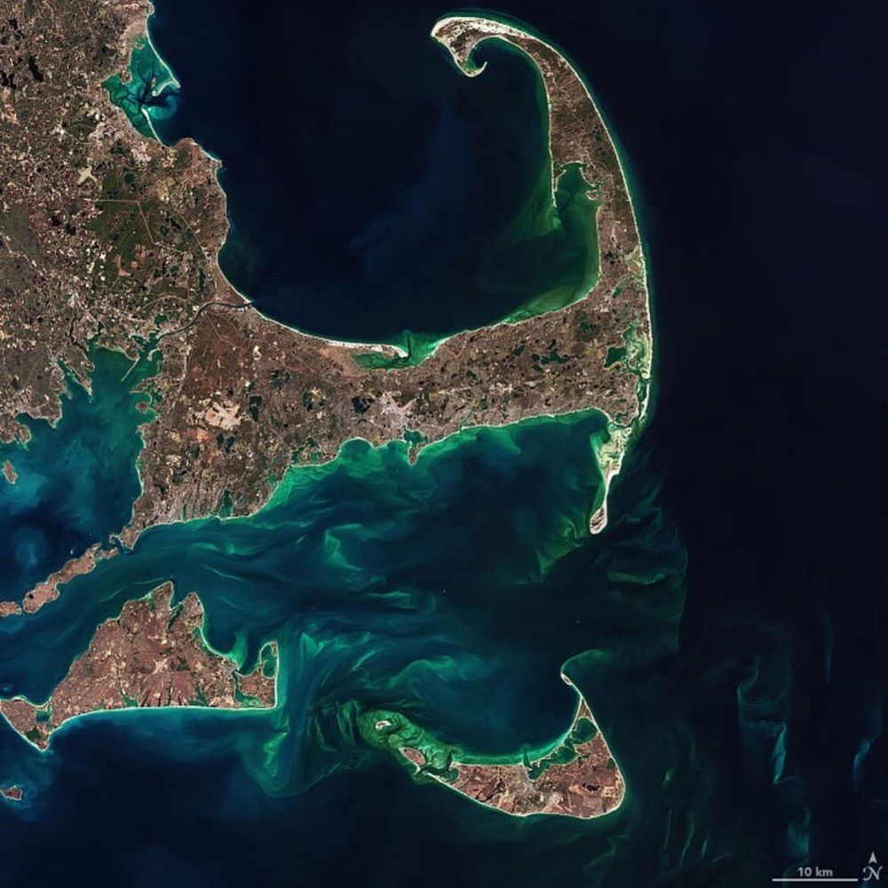 Cape Cod Mutual Aid