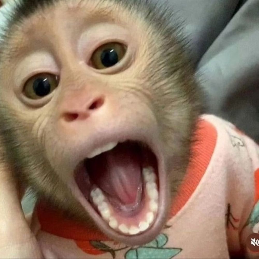 gaby