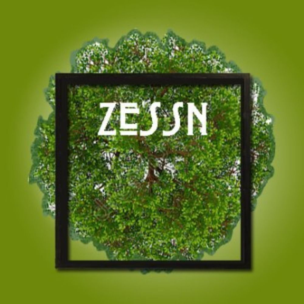 ally@zessn