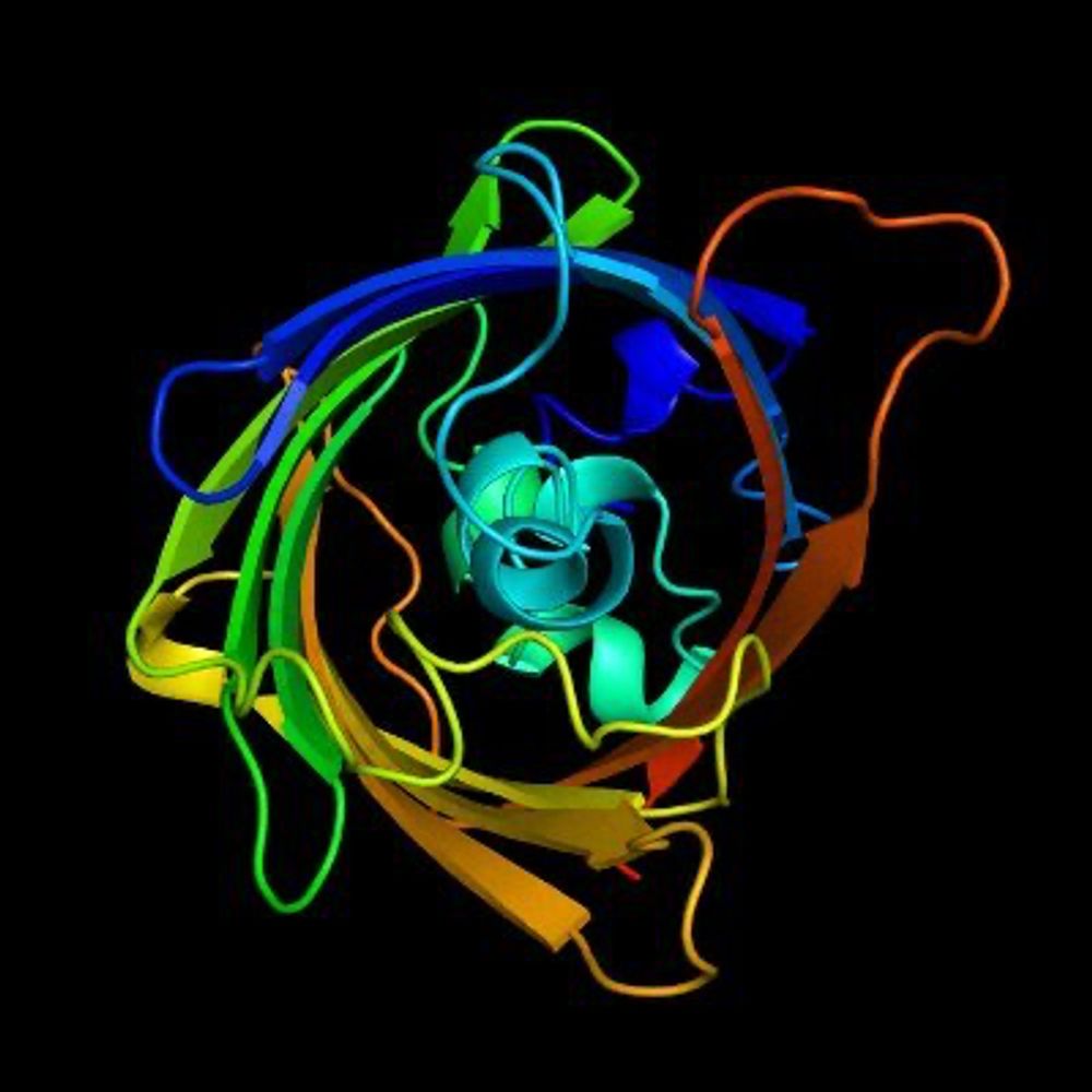 ML for Protein Engineering Seminar