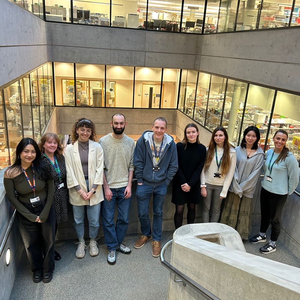 Tumour-Immune Cell Dynamics Lab