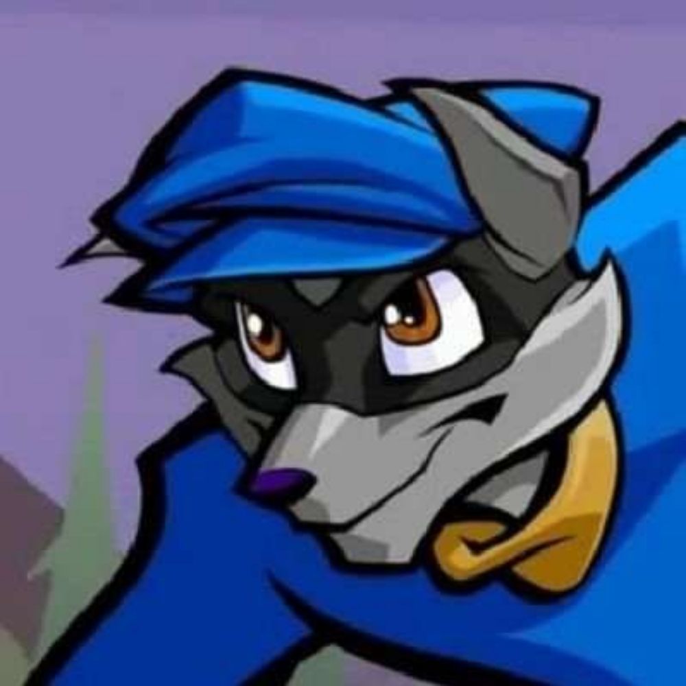 No Context Sly Cooper