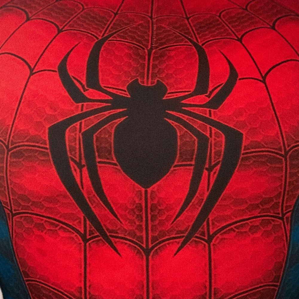 Spider’s Web 🕸️