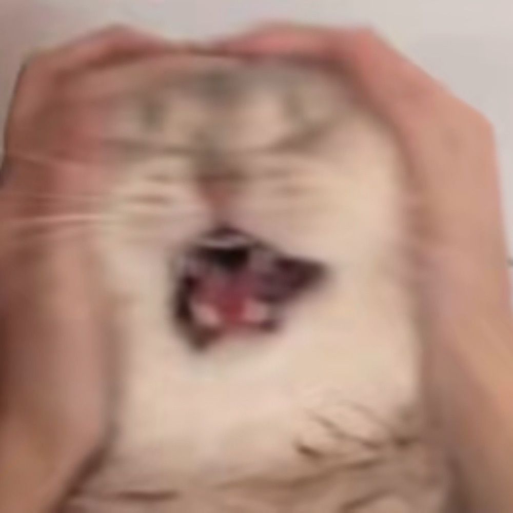 忙忙忙忙勾