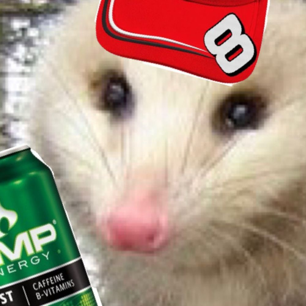 🖤Southern Appalachian Opossum⛧