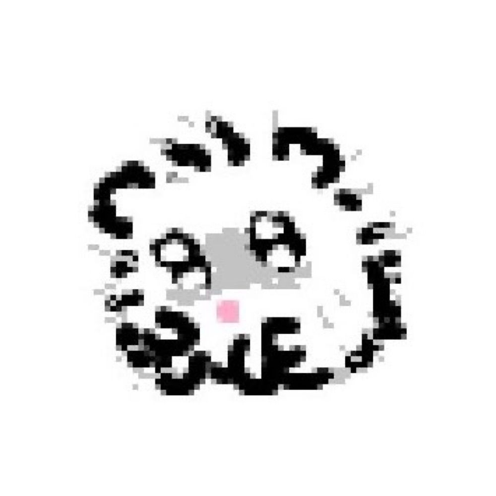 코이