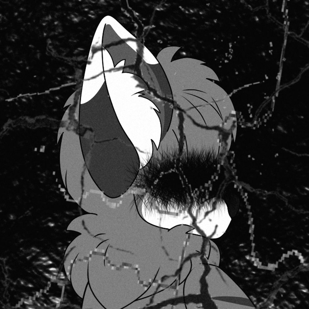 🎃☕🌳PS the fae fox🌿🦊🇨🇦