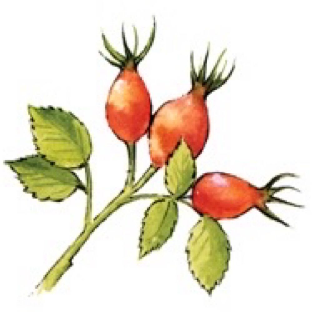 heavenlyhedgerows.bsky.social