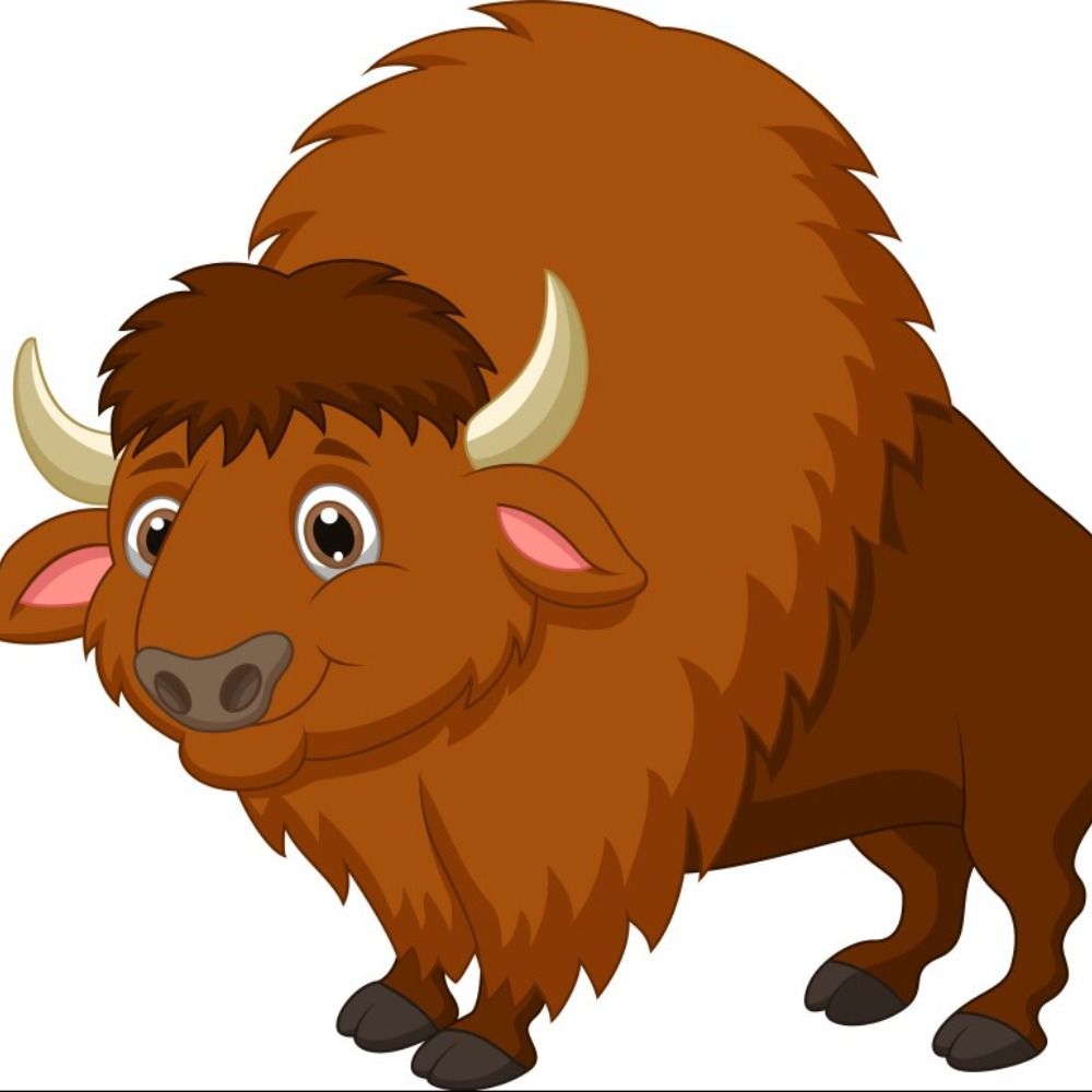 Buffalo Gal