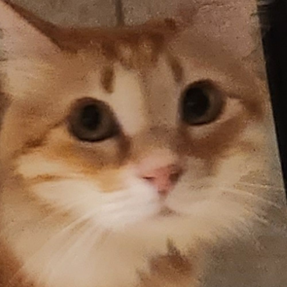 ave