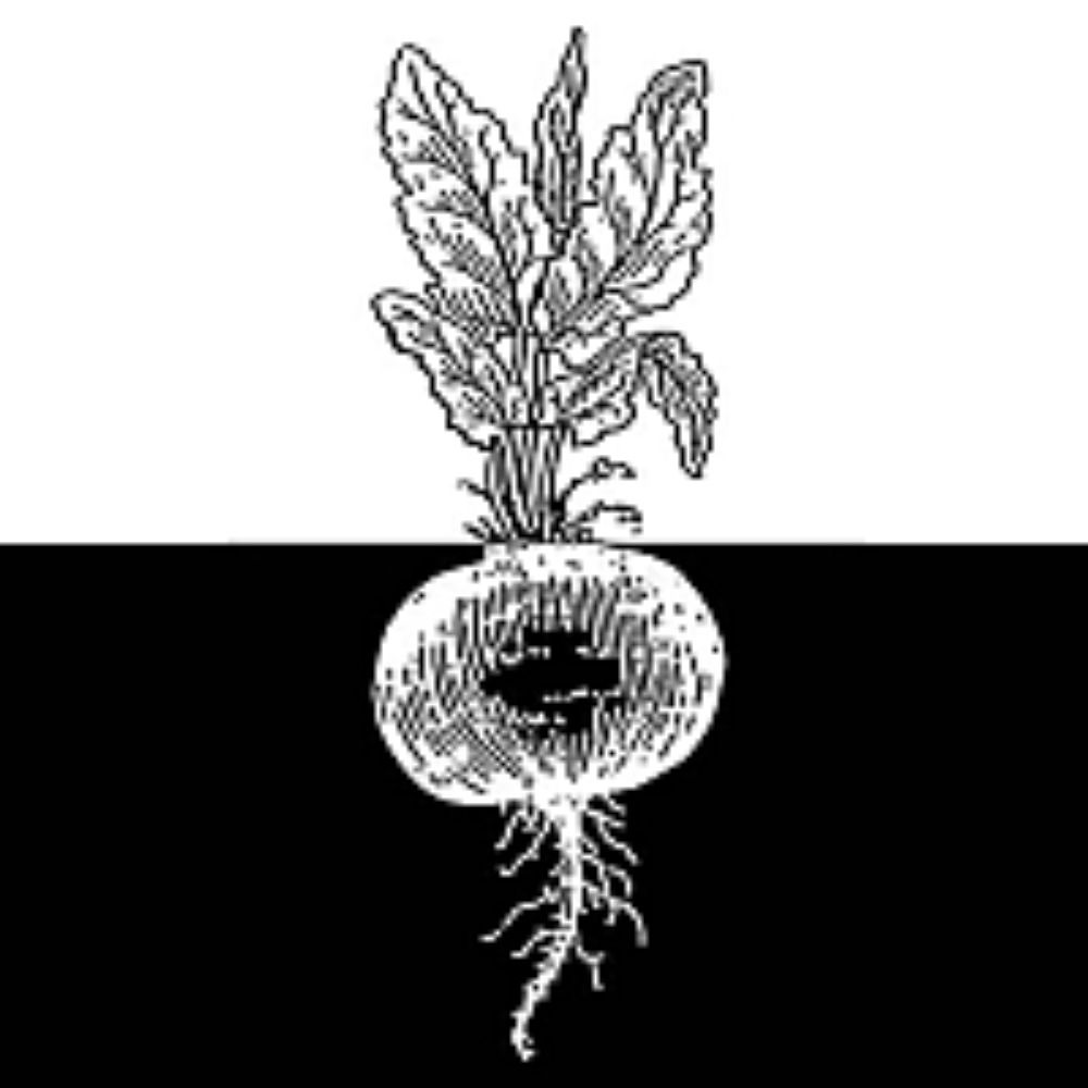 Seven Acres