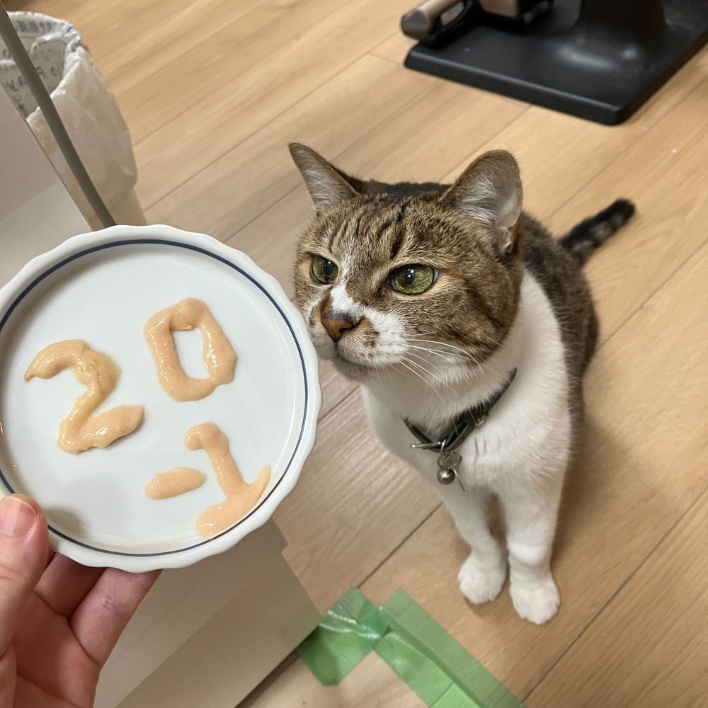 あやめ＠😺の下僕（体調不良につき不定期）
