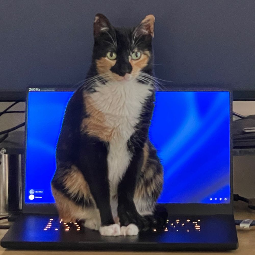 ASquareClaire