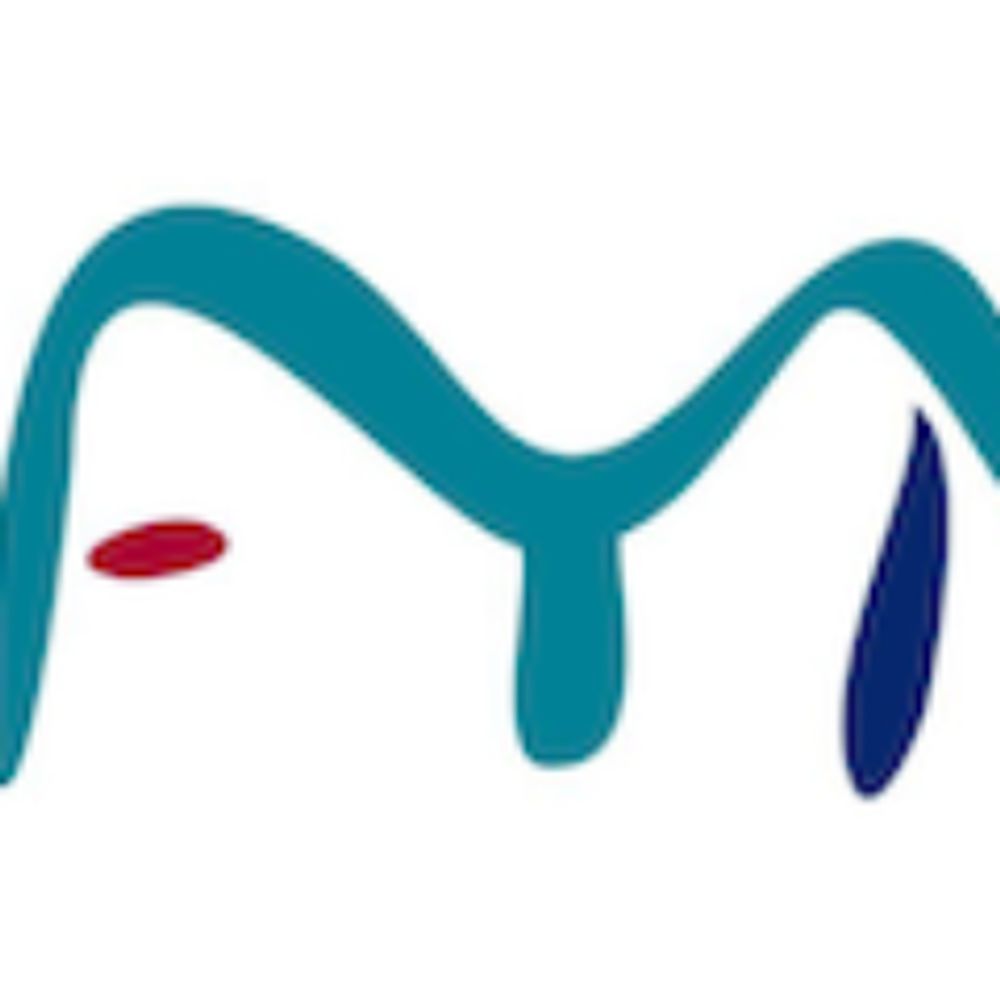 Foundation Year Network 