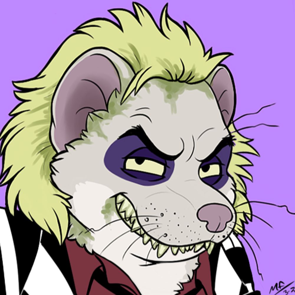 An extremely moody ferret 