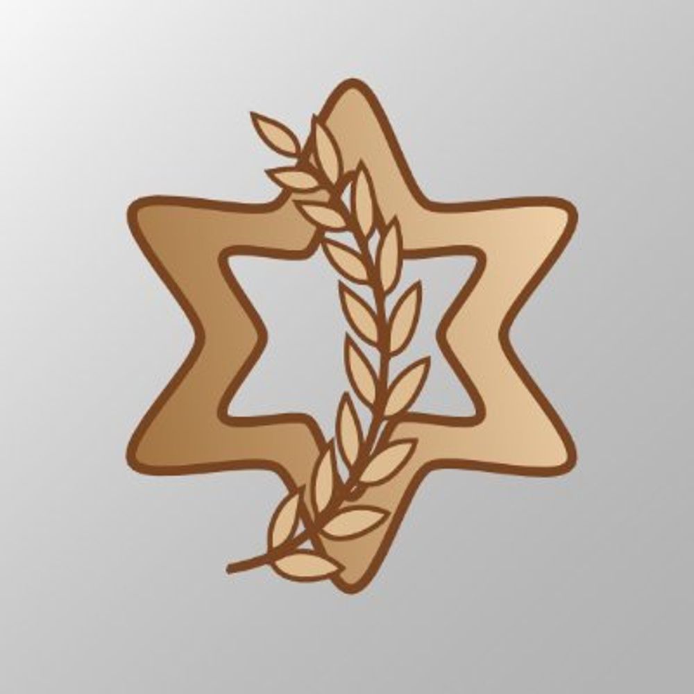 Israel Defense Forces (Parody)