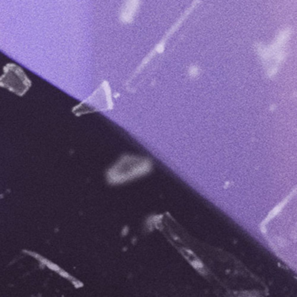 감