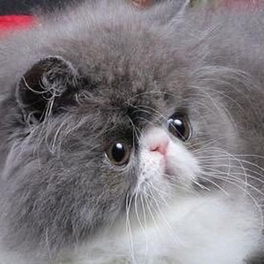 Smush