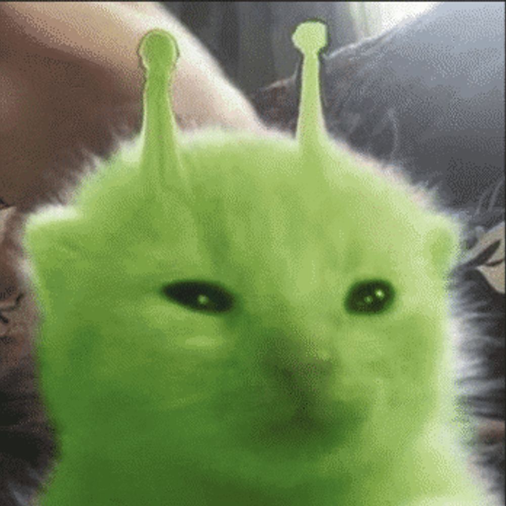 Borkhau