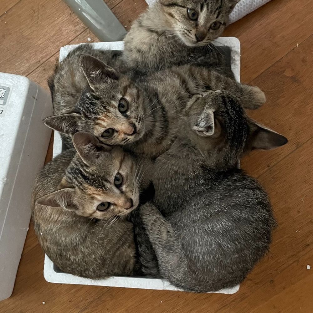 伝説のフィッシャーマン