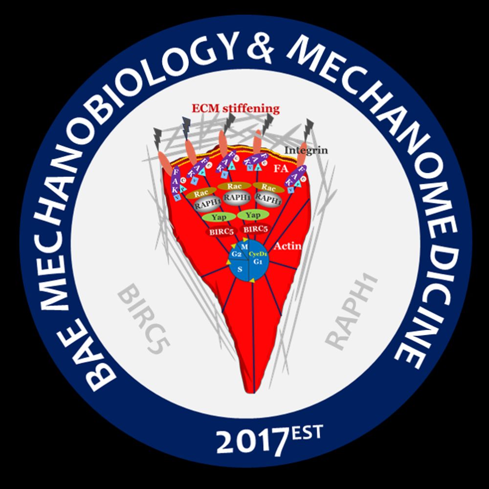 Bae Mechanobiology Lab