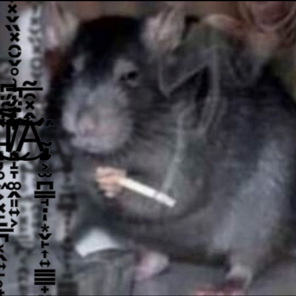 Murtinh4 
